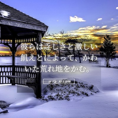 Picture 05 - ヨブ記 30:3 JPN - 彼らは乏しさと激しい飢えとによっ - Bible Verse Picture