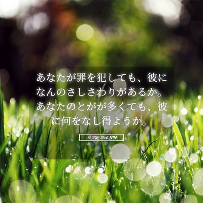 Picture 05 - ヨブ記 35:6 JPN - あなたが罪を犯しても、彼になんの - Bible Verse Picture