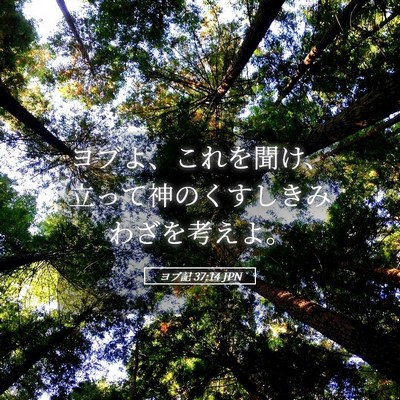 Picture 05 - ヨブ記 37:14 JPN - ヨブよ、これを聞け、立って神のく - Bible Verse Picture