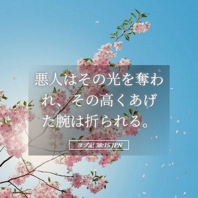 Picture 05 - ヨブ記 38:15 JPN - 悪人はその光を奪われ、その高くあ - Bible Verse Picture