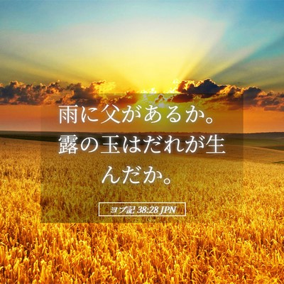 Picture 05 - ヨブ記 38:28 JPN - 雨に父があるか。露の玉はだれが生 - Bible Verse Picture