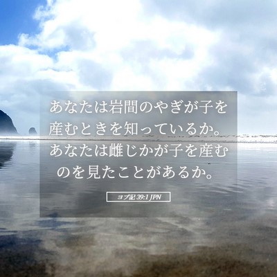Picture 05 - ヨブ記 39:1 JPN - あなたは岩間のやぎが子を産むとき - Bible Verse Picture