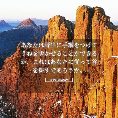 Picture 05 - ヨブ記 39:10 JPN - あなたは野牛に手綱をつけてうねを - Bible Verse Picture
