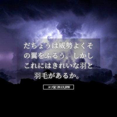Picture 05 - ヨブ記 39:13 JPN - だちょうは威勢よくその翼をふるう - Bible Verse Picture