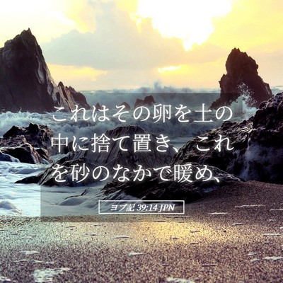 Picture 05 - ヨブ記 39:14 JPN - これはその卵を土の中に捨て置き、 - Bible Verse Picture
