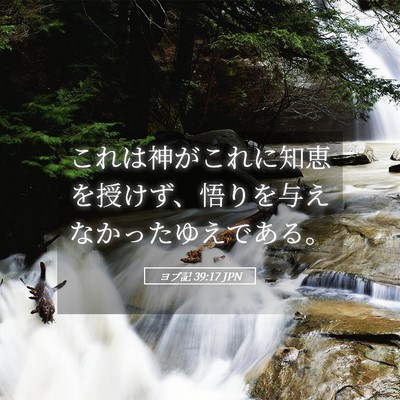 Picture 05 - ヨブ記 39:17 JPN - これは神がこれに知恵を授けず、悟 - Bible Verse Picture