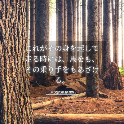 Picture 05 - ヨブ記 39:18 JPN - これがその身を起して走る時には、 - Bible Verse Picture