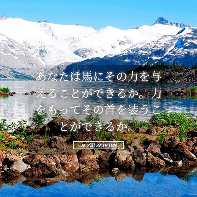 Picture 05 - ヨブ記 39:19 JPN - あなたは馬にその力を与えることが - Bible Verse Picture