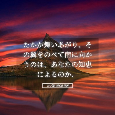 Picture 05 - ヨブ記 39:26 JPN - たかが舞いあがり、その翼をのべて - Bible Verse Picture
