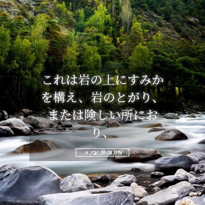 Picture 05 - ヨブ記 39:28 JPN - これは岩の上にすみかを構え、岩の - Bible Verse Picture