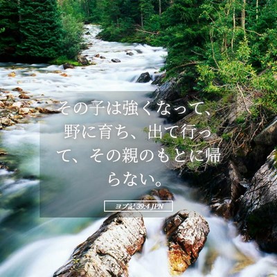 Picture 05 - ヨブ記 39:4 JPN - その子は強くなって、野に育ち、出 - Bible Verse Picture