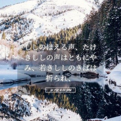 Picture 05 - ヨブ記 4:10 JPN - ししのほえる声、たけきししの声は - Bible Verse Picture
