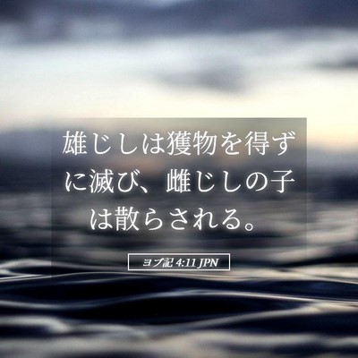 Picture 05 - ヨブ記 4:11 JPN - 雄じしは獲物を得ずに滅び、雌じし - Bible Verse Picture