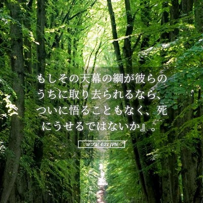 Picture 05 - ヨブ記 4:21 JPN - もしその天幕の綱が彼らのうちに取 - Bible Verse Picture