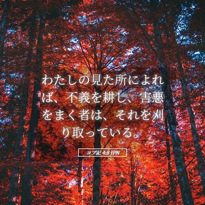 Picture 05 - ヨブ記 4:8 JPN - わたしの見た所によれば、不義を耕 - Bible Verse Picture