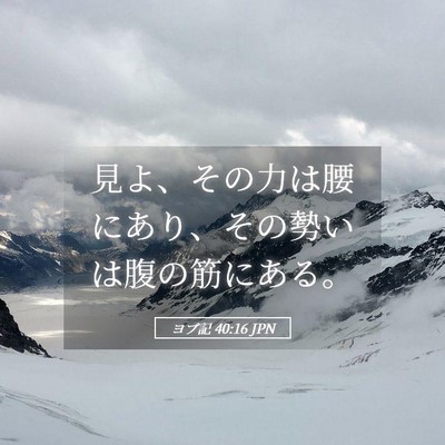 Picture 05 - ヨブ記 40:16 JPN - 見よ、その力は腰にあり、その勢い - Bible Verse Picture