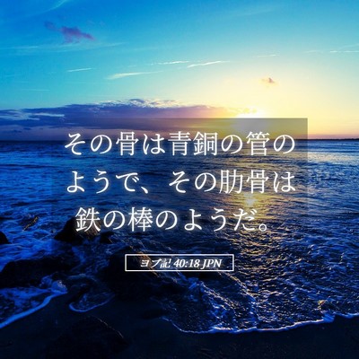 Picture 05 - ヨブ記 40:18 JPN - その骨は青銅の管のようで、その肋 - Bible Verse Picture
