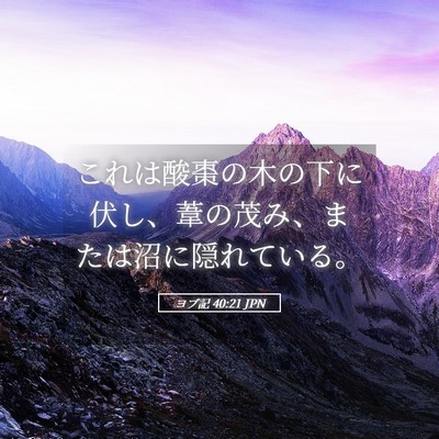 Picture 05 - ヨブ記 40:21 JPN - これは酸棗の木の下に伏し、葦の茂 - Bible Verse Picture