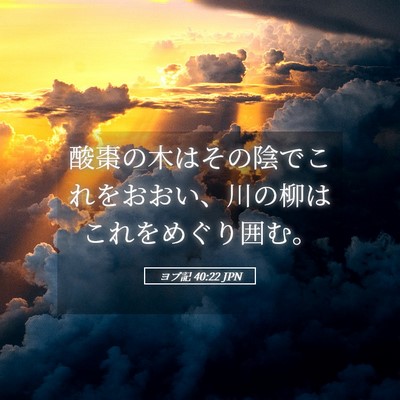 Picture 05 - ヨブ記 40:22 JPN - 酸棗の木はその陰でこれをおおい、 - Bible Verse Picture