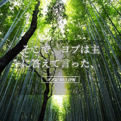 Picture 05 - ヨブ記 40:3 JPN - そこで、ヨブは主に答えて言った、 - Bible Verse Picture