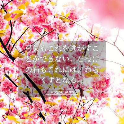 Picture 05 - ヨブ記 41:28 JPN - 弓矢もこれを逃がすことができない - Bible Verse Picture