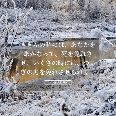 Picture 05 - ヨブ記 5:20 JPN - ききんの時には、あなたをあがなっ - Bible Verse Picture