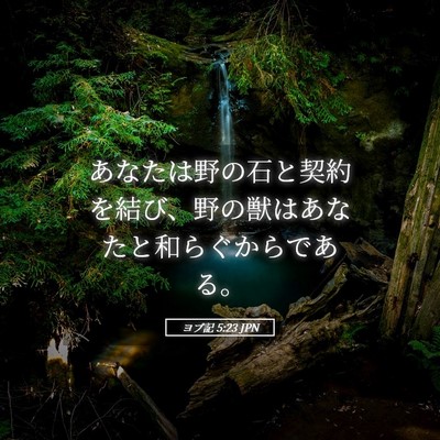 Picture 05 - ヨブ記 5:23 JPN - あなたは野の石と契約を結び、野の - Bible Verse Picture