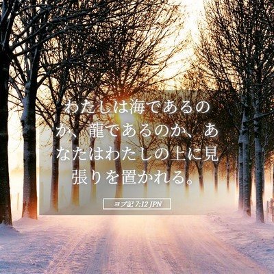 Picture 05 - ヨブ記 7:12 JPN - わたしは海であるのか、龍であるの - Bible Verse Picture