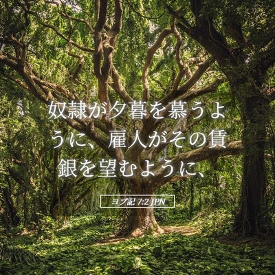 Picture 05 - ヨブ記 7:2 JPN - 奴隷が夕暮を慕うように、雇人がそ - Bible Verse Picture