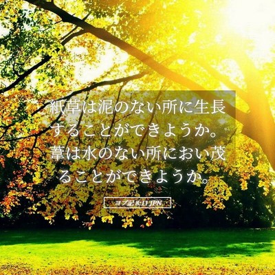 Picture 05 - ヨブ記 8:11 JPN - 紙草は泥のない所に生長することが - Bible Verse Picture