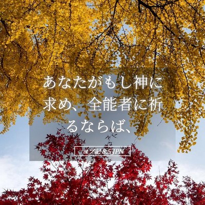 Picture 05 - ヨブ記 8:5 JPN - あなたがもし神に求め、全能者に祈 - Bible Verse Picture