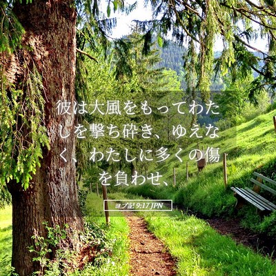 Picture 05 - ヨブ記 9:17 JPN - 彼は大風をもってわたしを撃ち砕き - Bible Verse Picture