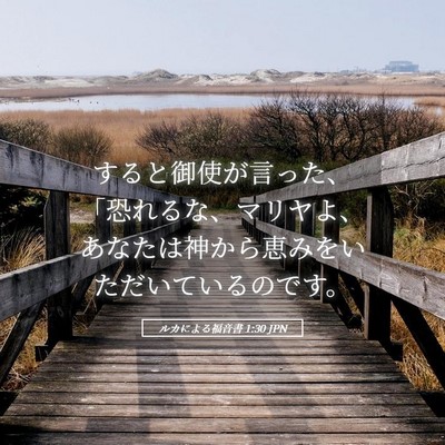 Picture 05 - ルカによる福音書 1:30 JPN - すると御使が言った、「恐れるな、 - Bible Verse Picture