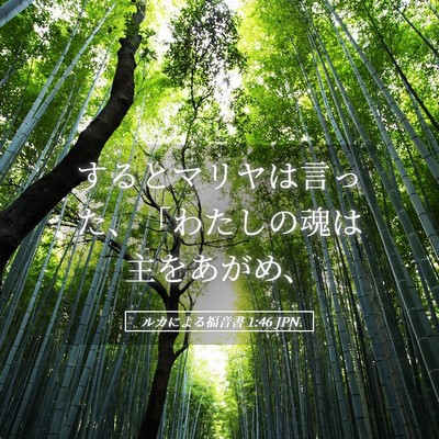 Picture 05 - ルカによる福音書 1:46 JPN - するとマリヤは言った、「わたしの - Bible Verse Picture