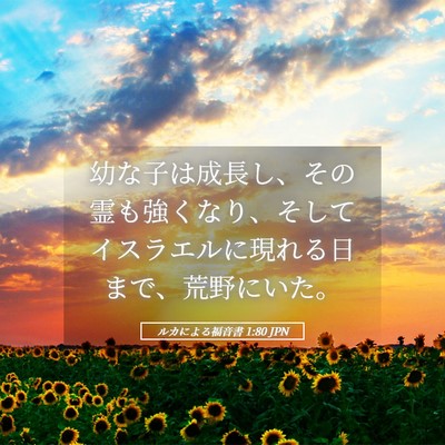 Picture 05 - ルカによる福音書 1:80 JPN - 幼な子は成長し、その霊も強くなり - Bible Verse Picture