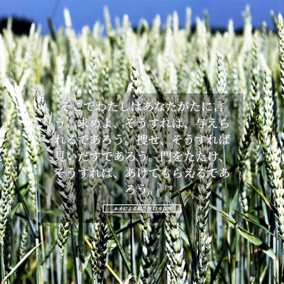 Picture 05 - ルカによる福音書 11:9 JPN - そこでわたしはあなたがたに言う。 - Bible Verse Picture