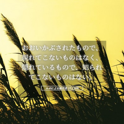 Picture 05 - ルカによる福音書 12:2 JPN - おおいかぶされたもので、現れてこ - Bible Verse Picture