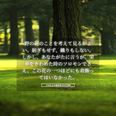 Picture 05 - ルカによる福音書 12:27 JPN - 野の花のことを考えて見るがよい。 - Bible Verse Picture