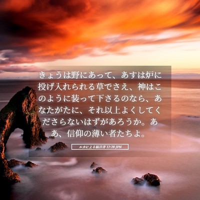 Picture 05 - ルカによる福音書 12:28 JPN - きょうは野にあって、あすは炉に投 - Bible Verse Picture