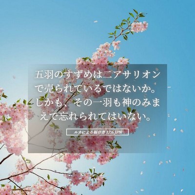 Picture 05 - ルカによる福音書 12:6 JPN - 五羽のすずめは二アサリオンで売ら - Bible Verse Picture