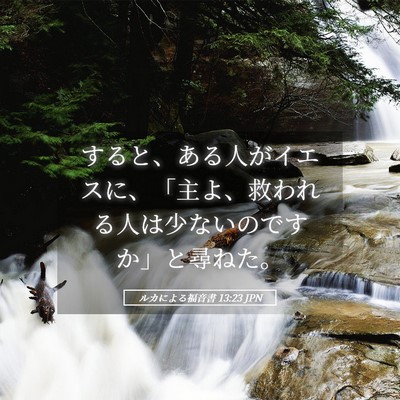 Picture 05 - ルカによる福音書 13:23 JPN - すると、ある人がイエスに、「主よ - Bible Verse Picture