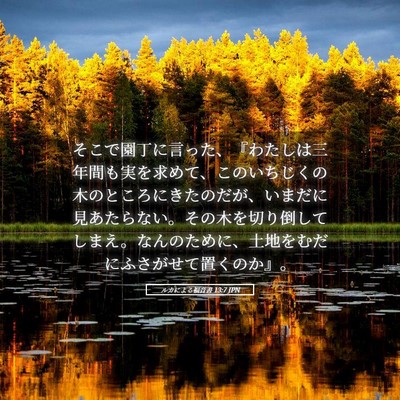 Picture 05 - ルカによる福音書 13:7 JPN - そこで園丁に言った、『わたしは三 - Bible Verse Picture