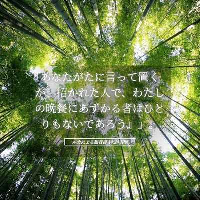 Picture 05 - ルカによる福音書 14:24 JPN - あなたがたに言って置くが、招かれ - Bible Verse Picture