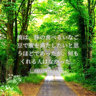 Picture 05 - ルカによる福音書 15:16 JPN - 彼は、豚の食べるいなご豆で腹を満 - Bible Verse Picture