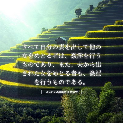 Picture 05 - ルカによる福音書 16:18 JPN - すべて自分の妻を出して他の女をめ - Bible Verse Picture