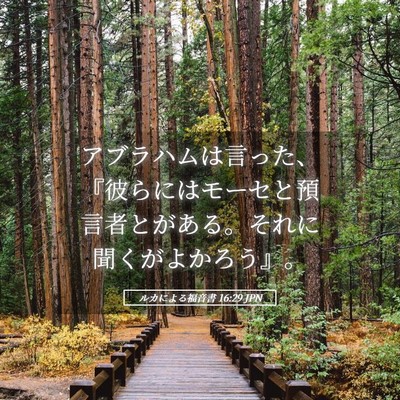 Picture 05 - ルカによる福音書 16:29 JPN - アブラハムは言った、『彼らにはモ - Bible Verse Picture