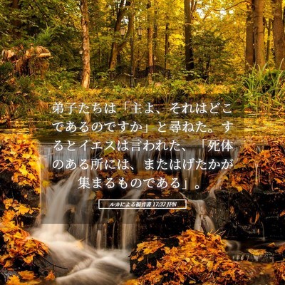 Picture 05 - ルカによる福音書 17:37 JPN - 弟子たちは「主よ、それはどこであ - Bible Verse Picture