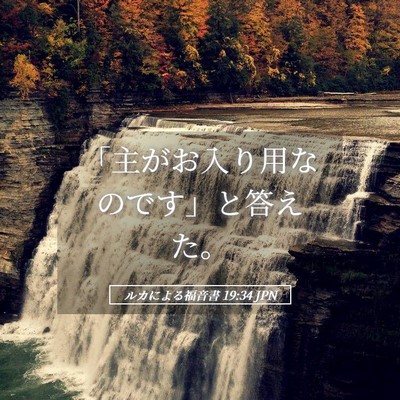 Picture 05 - ルカによる福音書 19:34 JPN - 「主がお入り用なのです」と答えた - Bible Verse Picture