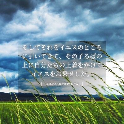 Picture 05 - ルカによる福音書 19:35 JPN - そしてそれをイエスのところに引い - Bible Verse Picture