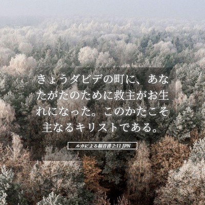 Picture 05 - ルカによる福音書 2:11 JPN - きょうダビデの町に、あなたがたの - Bible Verse Picture